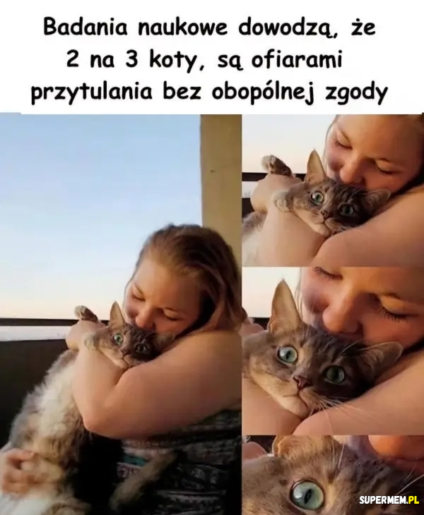 Koty nie lubią się przytulać 