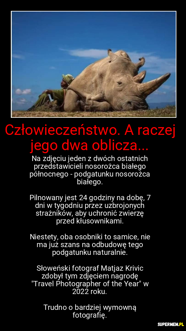 Człowieczeństwo. A raczej jego dwa oblicza...