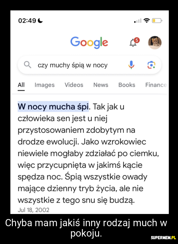 Chyba mam jakiś inny rodzaj much w pokoju.