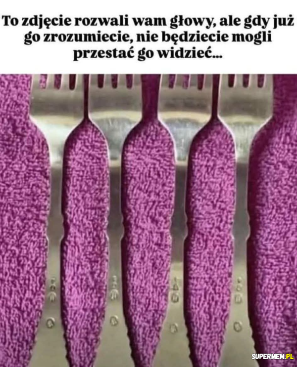 Co widzisz na zdjęciu