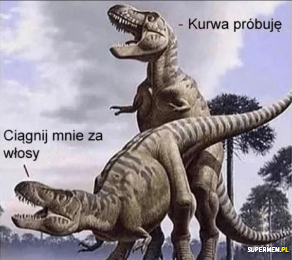Przytulanie zwierząt 