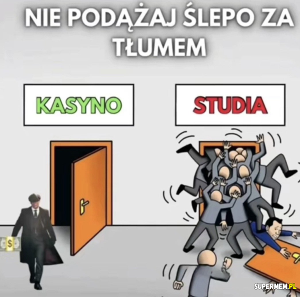 Studia