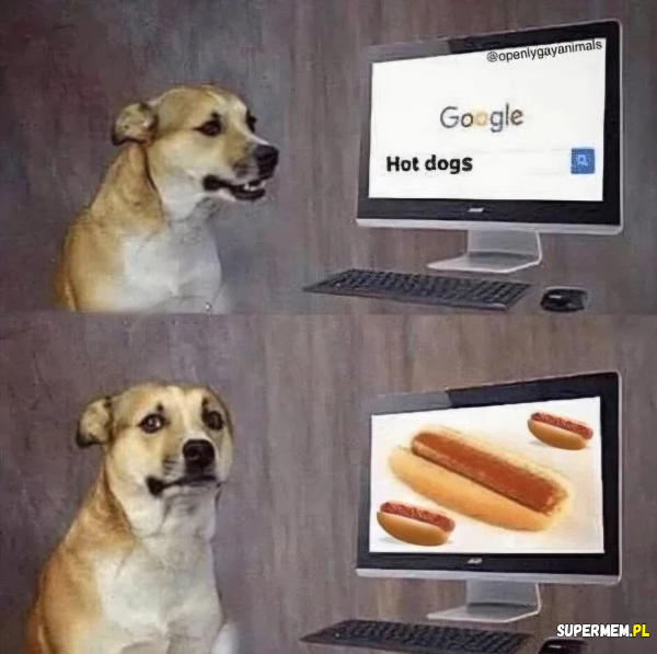 Hot dog