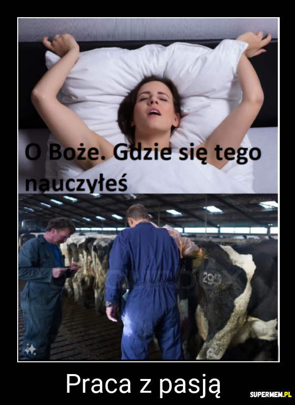 Praca z pasją