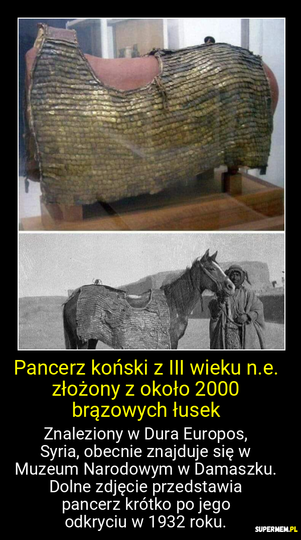 Pancerz koński z III wieku n.e. złożony z około 2000 brązowych łusek