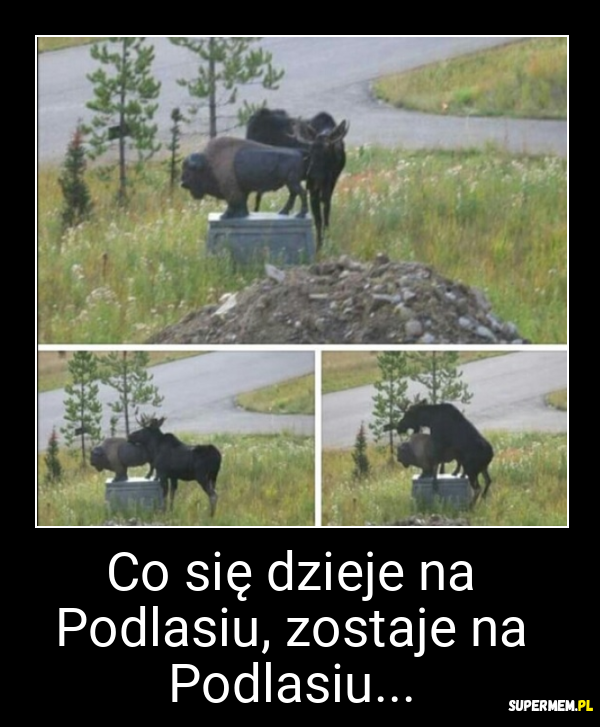 Co się dzieje na Podlasiu, zostaje na Podlasiu...