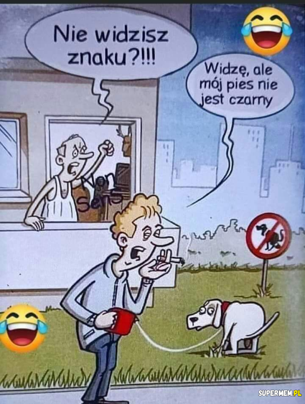 Mój pies jest grzeczny