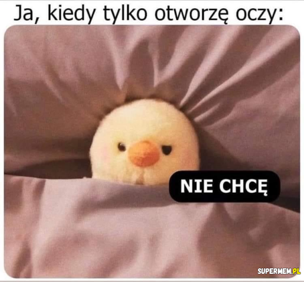 Co mówisz rano, kiedy wstajesz z łóżka?